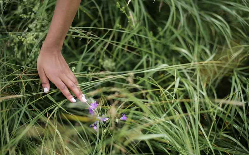 华人 ChatGPT 团队中的先驱中外专家齐话人工智能未来