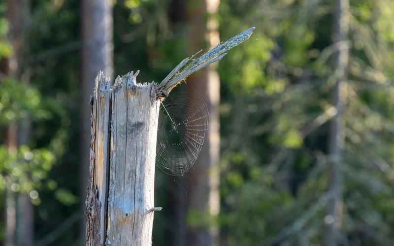 ChatGPT解锁A股掘金之路人工智能赋能投资,乘风破浪 ChatGPT解锁A股掘金之路人工智能赋能投资,乘风破浪