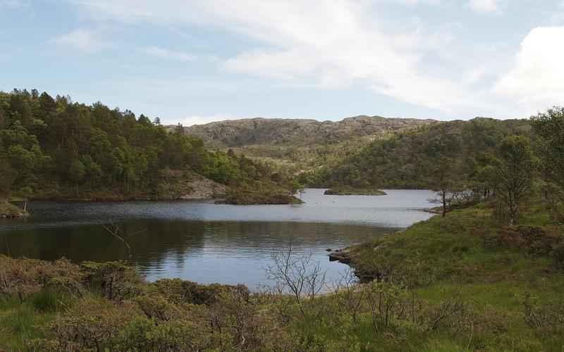 ChatGPT中文语言设置指南简化你的中文沟通交流 ChatGPT中文语言设置指南简化你的中文沟通交流