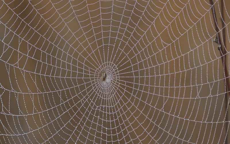 ChatGPT 4.0 臻选集萃，智慧问答指南