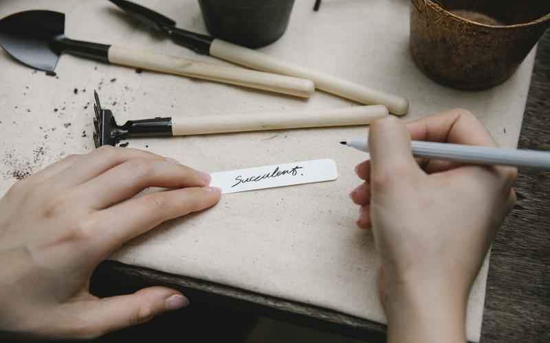 ChatGPT 对阵 百度知道：人工智能问答之争