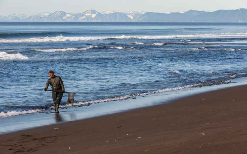 ChatGPT,强大工具,用处多网页应用,随处可用,得心应手 ChatGPT,强大工具,用处多网页应用,随处可用,得心应手