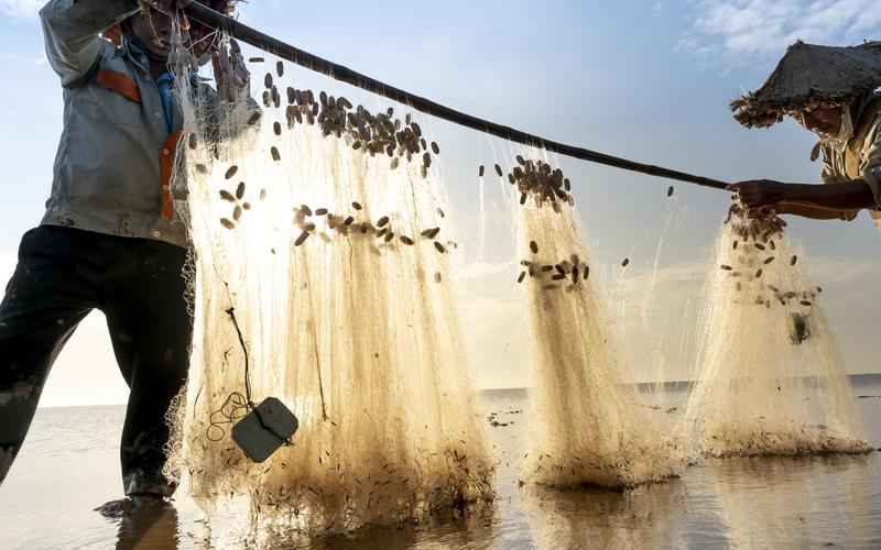 人工智能ChatGPT - 未来蓝图, 无限可能 人工智能ChatGPT - 未来蓝图, 无限可能