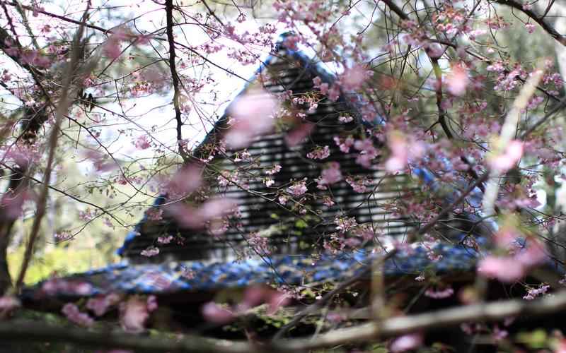 对话式人工智能引发热议ChatGPT:挑战与机遇 对话式人工智能引发热议ChatGPT:挑战与机遇