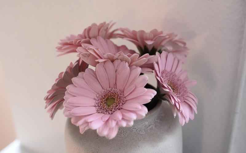 ChatGPT4.0翻译精进 3.5望其项背 ChatGPT4.0翻译精进 3.5望其项背