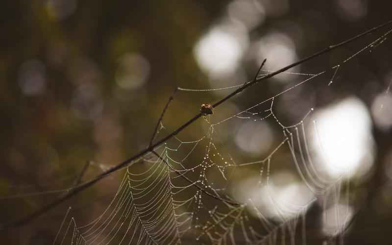 网页版 ChatGPT 注册指南步骤详解,轻松上手 网页版 ChatGPT 注册指南步骤详解,轻松上手