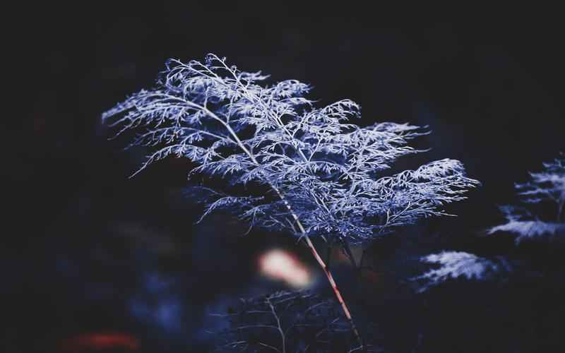 极速智能浏览,ChatGPT 尽在指尖 极速智能浏览,ChatGPT 尽在指尖