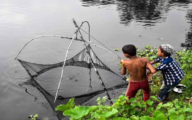 ChatGPT进军加拿大,本土应用指南 ChatGPT进军加拿大,本土应用指南