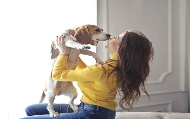 ChatGPT：文字生成的神奇力量解锁文字无限可能