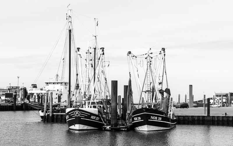 本地ChatGPT,赋能企业新境界 本地ChatGPT,赋能企业新境界