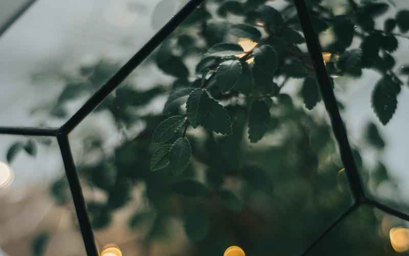 开源界的聊天魔方，ChatGPT 随手可得