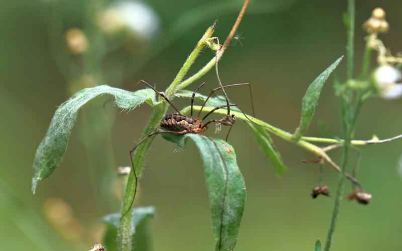 ChatGPT 电脑版语音对话聆听你的智慧之声 ChatGPT 电脑版语音对话聆听你的智慧之声