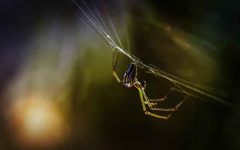 ChatGPT 华为笔试帮手:靠谱吗? ChatGPT 华为笔试帮手:靠谱吗?