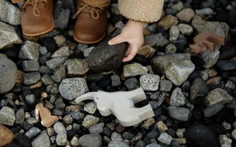 人工智能之母:她是 ChatGPT 背后的天才吗? 人工智能之母:她是 ChatGPT 背后的天才吗?