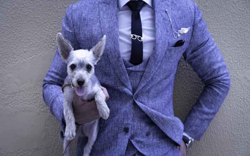 ChatGPT包月划算吗?开通包月,合理决策 ChatGPT包月划算吗?开通包月,合理决策