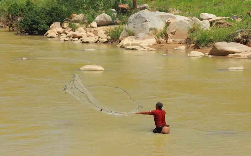 论文用 ChatGPT 翻译:可行性与局限性 论文用 ChatGPT 翻译:可行性与局限性