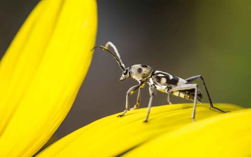 ChatGPT卡在信息填写界面尴尬之下现窘态 ChatGPT卡在信息填写界面尴尬之下现窘态