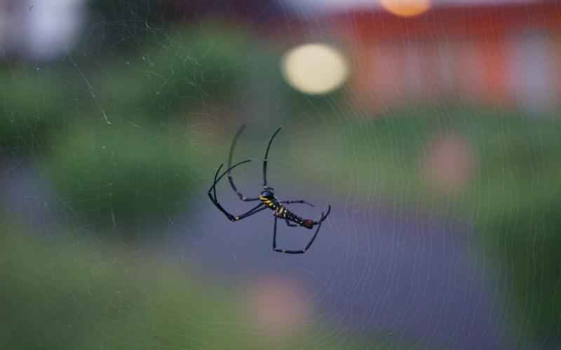 AI智能音响,畅享语言交互 AI智能音响,畅享语言交互