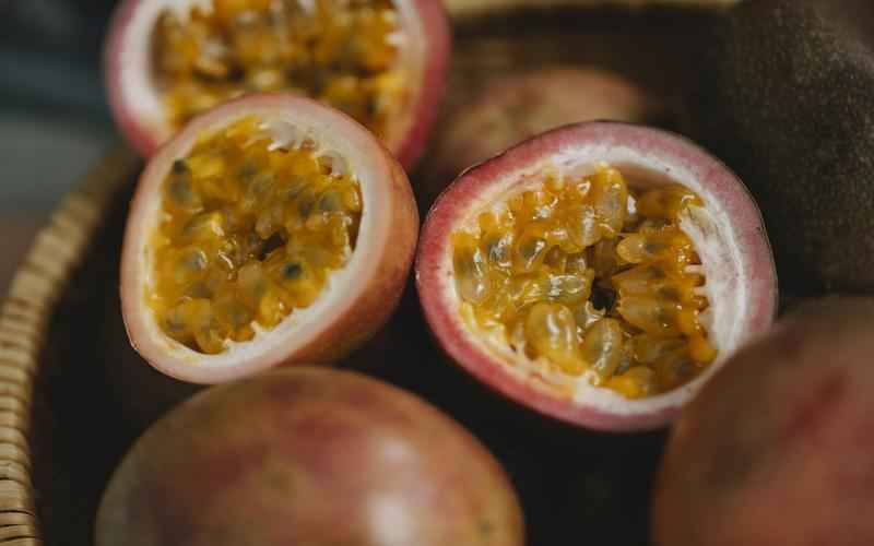 智能拓展，插件赋能 ChatGPT，释放无限潜能